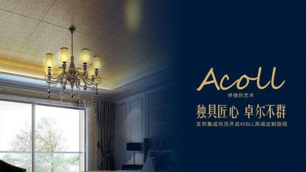 友(yǒu)邦集成.png 友(yǒu)邦集成.png